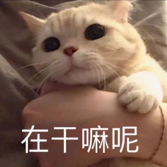 管理员头像
